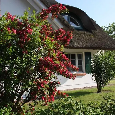 Apartment Moin Moin *