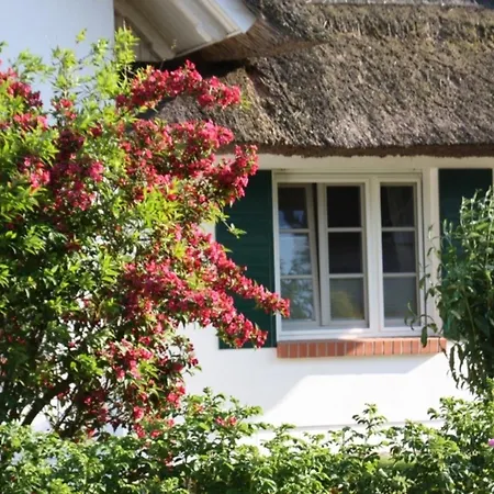 Moin Moin * ボルン